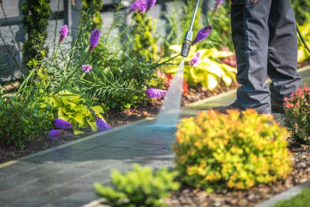 Professional Pressure Washing Services in Mantua, UT